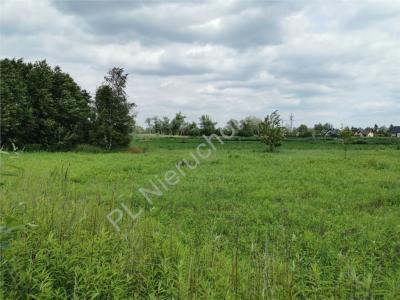 Działka na sprzedaż Falenty Nowe