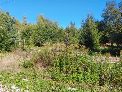 Działka na sprzedaż Dziechciniec