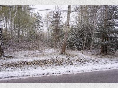 Działka na sprzedaż Zalesie