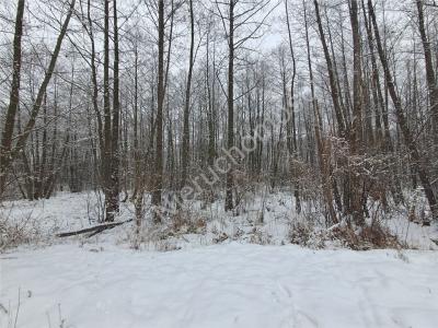 Działka na sprzedaż Chylice