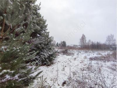 Działka na sprzedaż Szczęsne