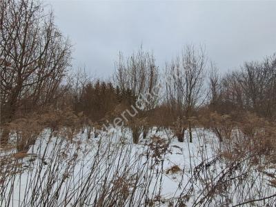 Działka na sprzedaż Jaktorów