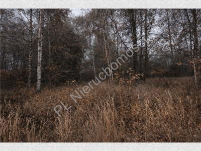 Działka na sprzedaż Jastrzębnik