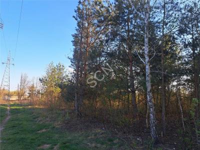 Działka na sprzedaż Michałów-Reginów