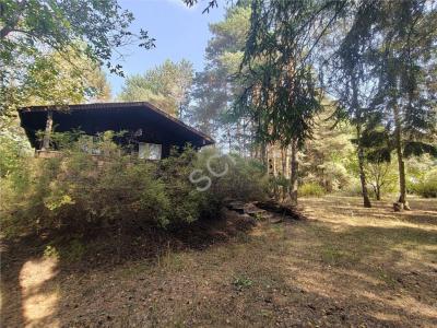 Działka na sprzedaż Skrzeszew