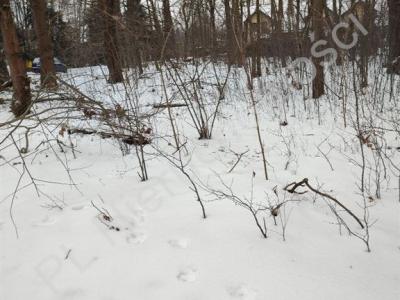 Działka na sprzedaż Grodzisk Mazowiecki