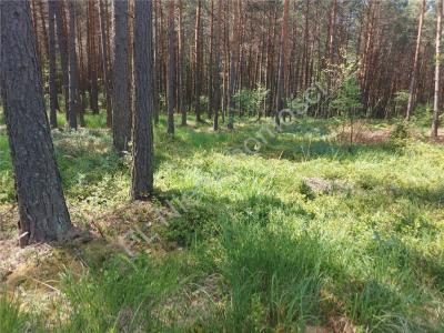 Działka na sprzedaż Turze