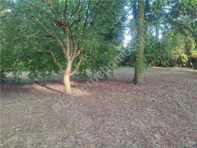 Działka na sprzedaż Komorów