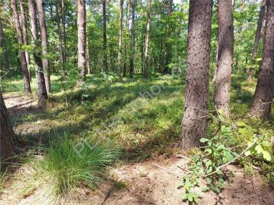 Działka na sprzedaż Turze