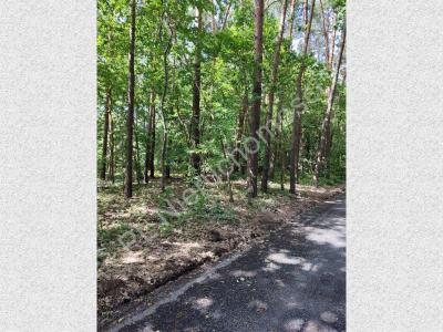 Działka na sprzedaż Żółwin