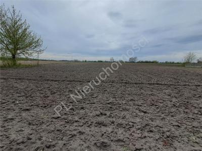 Dom na sprzedaż Baranów