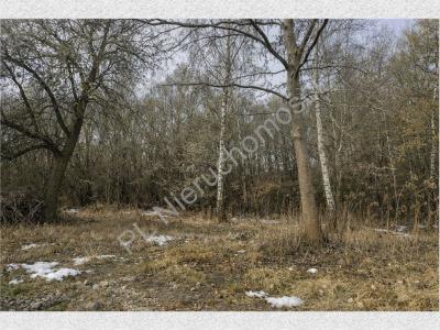 Działka na sprzedaż Oddział