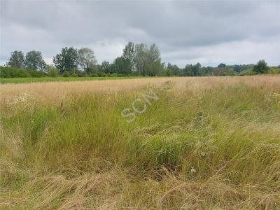 Działka na sprzedaż Otwock