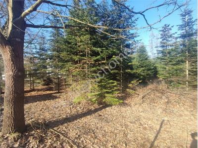 Działka na sprzedaż Milanówek