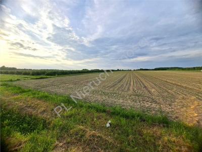 Działka na sprzedaż Mińsk Mazowiecki