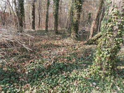 Działka na sprzedaż Międzyborów