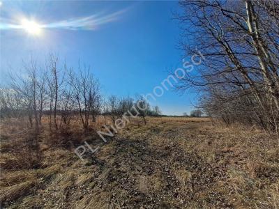 Działka na sprzedaż Chlebnia