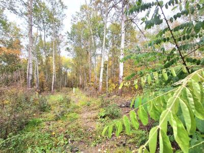 Działka na sprzedaż Budy Michałowskie