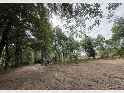 Działka na sprzedaż Adamów-Wieś