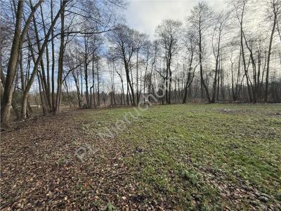 Działka na sprzedaż Adamów-Wieś