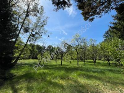 Działka na sprzedaż Grodzisk Mazowiecki