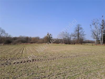 Działka na sprzedaż Jaktorów-Kolonia