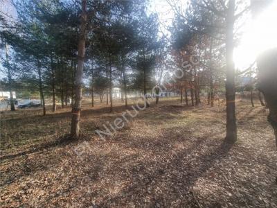 Działka na sprzedaż Rozalin