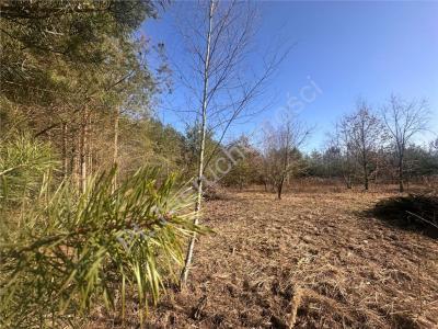 Działka na sprzedaż Książenice