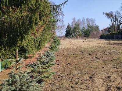 Działka na sprzedaż Bramki