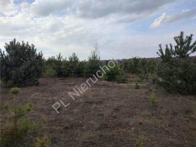 Działka na sprzedaż Krzyżówka