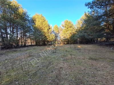 Działka na sprzedaż Budy-Grzybek