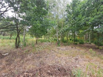 Działka na sprzedaż Kałęczyn