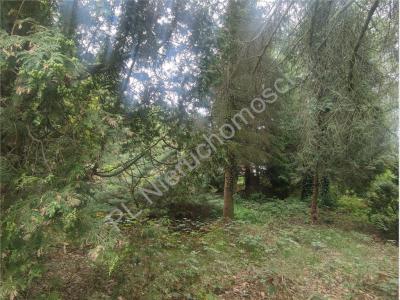 Działka na sprzedaż Podkowa Leśna