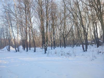 Działka na sprzedaż Milanówek