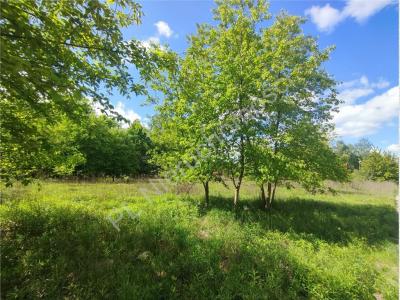 Działka na sprzedaż Chrzanów Mały