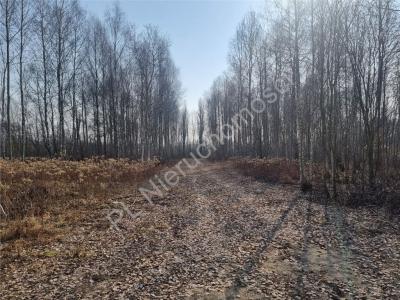 Działka na sprzedaż Dobczyn