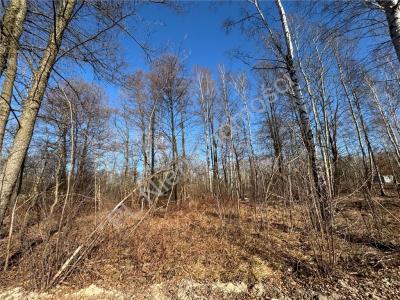 Działka na sprzedaż Czarny Las