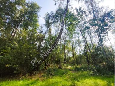 Działka na sprzedaż Janinów