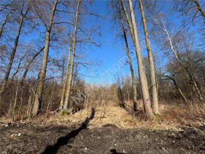 Działka na sprzedaż Czarny Las