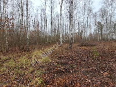 Działka na sprzedaż Adamowizna