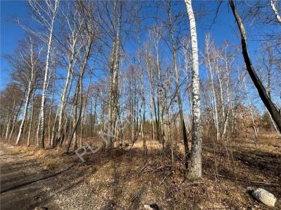 Działka na sprzedaż Czarny Las