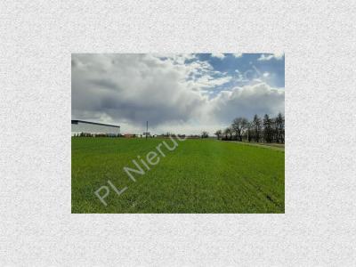Działka na sprzedaż Natolin