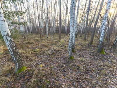 Działka na sprzedaż Stare Budy