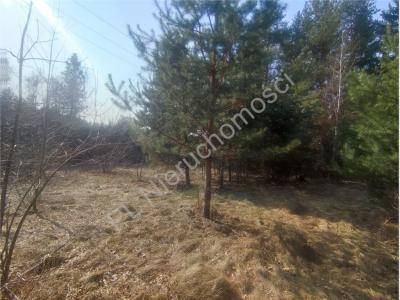 Działka na sprzedaż Wolica