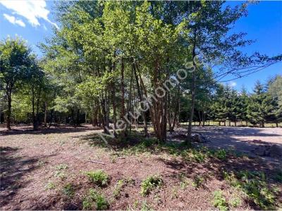 Działka na sprzedaż Mościska