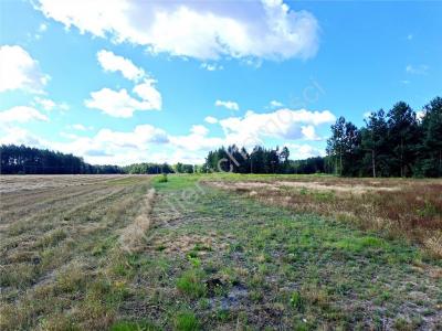 Działka na sprzedaż Mistów