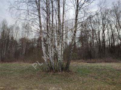 Działka na sprzedaż Radonie