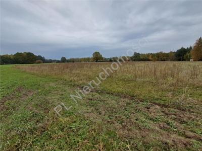 Działka na sprzedaż Wężyk