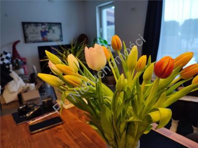 Dom na sprzedaż Grodzisk Mazowiecki