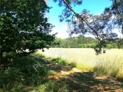 Działka na sprzedaż Kąty-Miąski